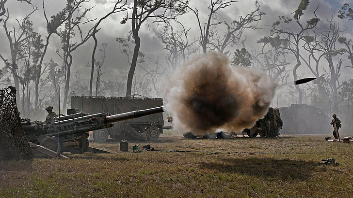 كلب قصير مطلي باللونين الأسود والبني ، عسكري ، الجيش الأسترالي ، مدفع هاوتزر M777 ، أستراليا، خلفية HD