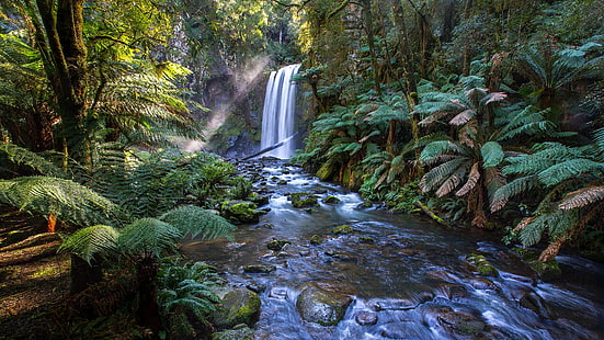 Wasser, Natur, Wasserfall, Vegetation, Dschungel, Ökosystem, Strom, Bach, Wald, Baum, HD-Hintergrundbild HD wallpaper