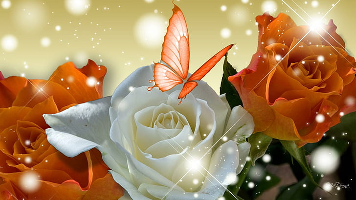 Rosa laranja no alto, rosas laranja-branco, primavera, rosas, rosa laranja, borboleta, brilho, verão, rosa branca, 3d e abstrato, HD papel de parede