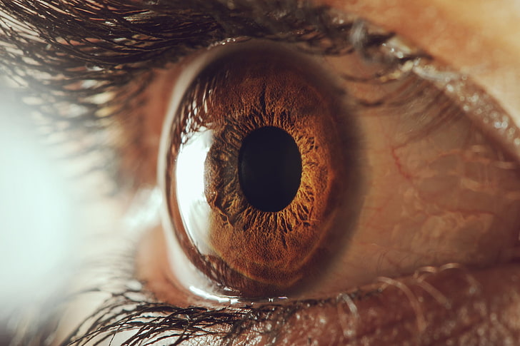 occhio marrone della persona, macro, ciglia, pupilla, occhio umano, tocco, Sfondo HD