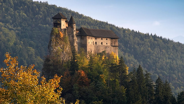 castelo gótico bege e preto, fotografia do castelo de concreto cinza perto do topo da montanha durante o dia, arquitetura, castelo, natureza, paisagem, árvores, floresta, Eslováquia, outono, rocha, colinas, HD papel de parede