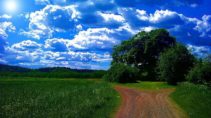 Ich mag Sommer Widescreen *, Natur, Baum, Gras, Grün, Wald, Blau, Sommer, 3d und abstrakt, HD-Hintergrundbild