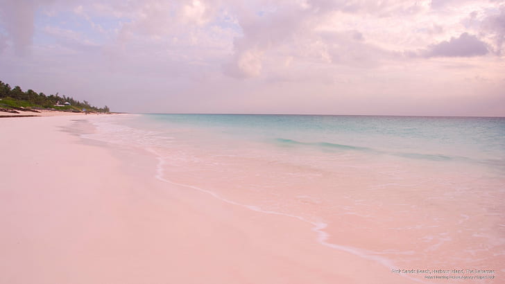 شاطئ الرمال الوردية ، جزيرة هاربور ، جزر الباهاما ، الشواطئ، خلفية HD