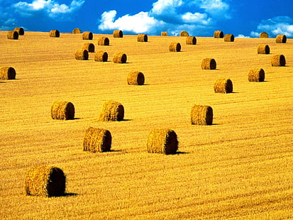 кафява бала от сено, купища сено, пейзаж, поле, ферма, HD тапет HD wallpaper