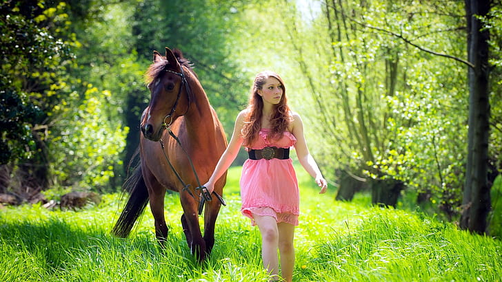 فتاة وحصان ، عشب ، غابة ، فتاة ، حصان ، عشب ، غابة، خلفية HD