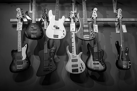 acoustics, bass guitars, black and white, collection, design, electric guitars, guitar, monochrome, music, rock, shop, sound, string instrument, strings, HD wallpaper HD wallpaper