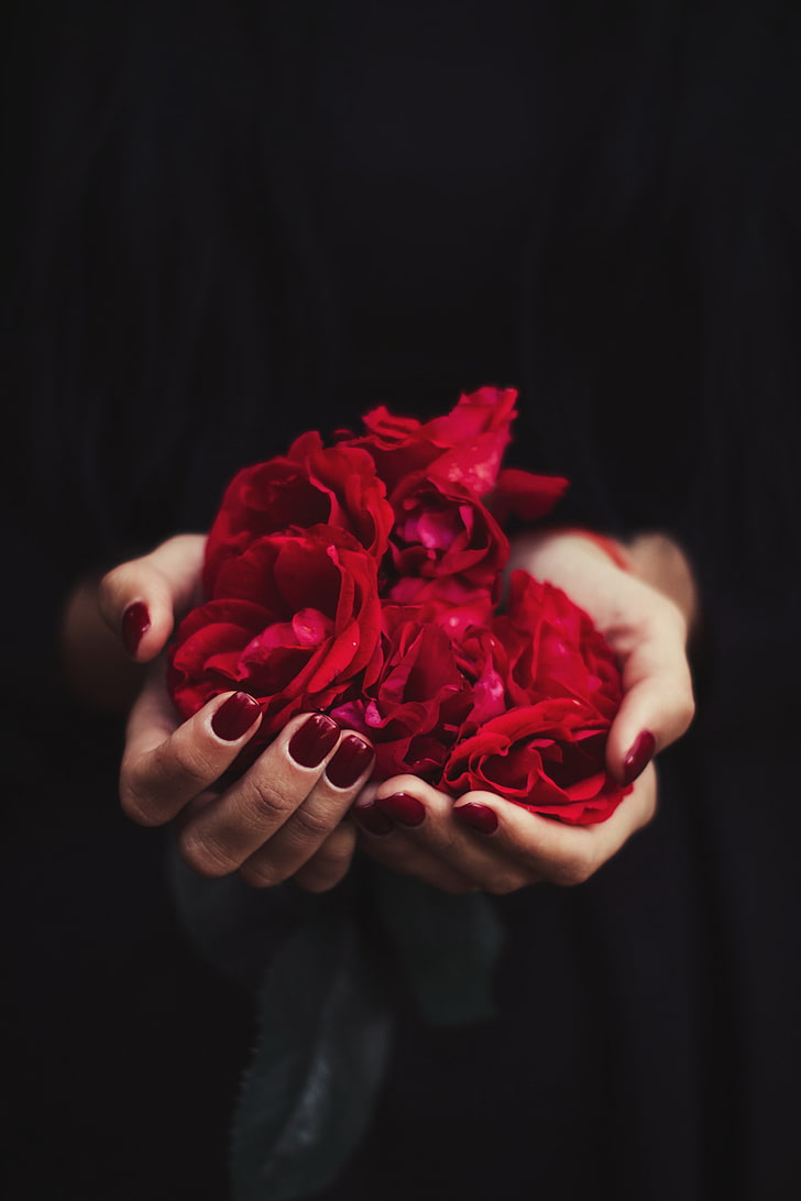 ręce, róża, płatki, czerwony, manicure, Tapety HD, tapety na telefon