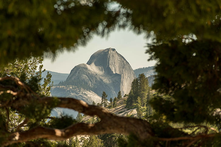 Half Dome, Parco nazionale Yosemite, California, USA, Sfondo HD
