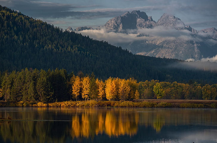 Grüner Wald und Berge, Herbst, Wald, Berge, Morgen, USA, Wyoming, Grand Teton Nationalpark, Oxbow Bend, HD-Hintergrundbild