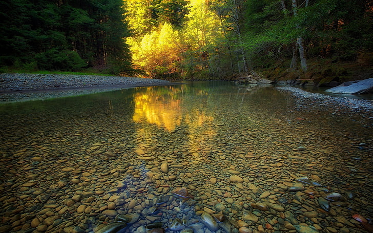 แม่น้ำที่ล้อมรอบด้วยต้นไม้ตอนกลางวันแม่น้ำป่าธรรมชาติภูมิทัศน์ต้นไม้น้ำสงบแสงแดดฤดูร้อนก้อนกรวดหิน, วอลล์เปเปอร์ HD