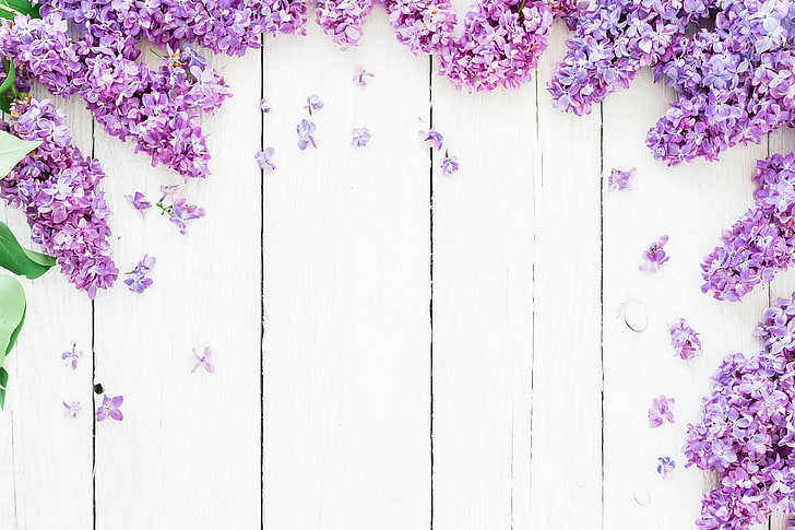 фиолетовые цветы, цветы, фон, весна, сирень, HD обои