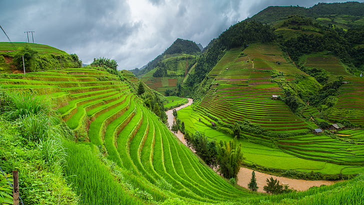 nature, landscape, clouds, terraced field, rice fields, rice paddy, valley, Asia, river, green, grass, trees, HD wallpaper