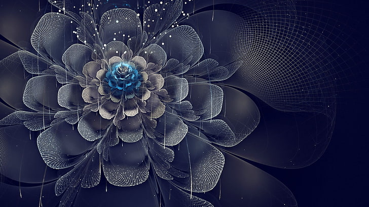 resumo, flores fractal, HD papel de parede