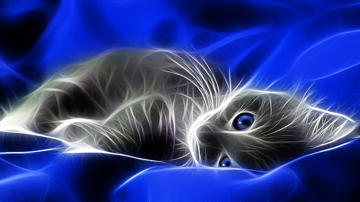 แมวสีฟ้าตาสีฟ้าสัตว์เศษส่วนวิญญาณลูกแมวสีเทา 1366x768 สัตว์แมวศิลปะ HD, สีฟ้า, แมว, วอลล์เปเปอร์ HD