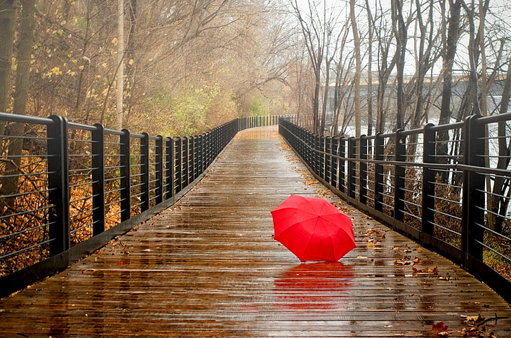 красный зонт, осень, лес, листья, вода, деревья, мост, природа, парк, река, дождь, вид, зонт, прогулка, осень, HD обои