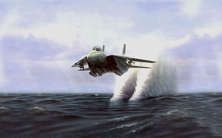 pesawat udara putih, pesawat terbang, Grumman F-14 Tomcat, Wallpaper HD