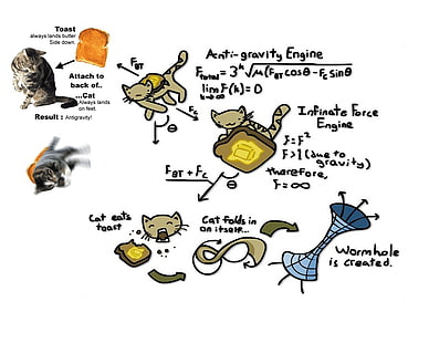 متنوع التوضيح القط ، القط ، الفكاهة ، الفيزياء، خلفية HD HD wallpaper