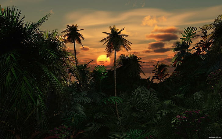 Destino tropical, palmeras, tropical, naturaleza, amanecer, atardecer, 3d y abstracto, Fondo de pantalla HD