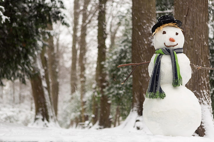 snowman, winter, snow, hat, carrot, scarf, snowman, forest. trees, HD wallpaper