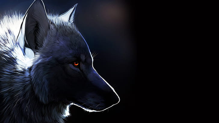 Рисунок волка, волк, HD обои