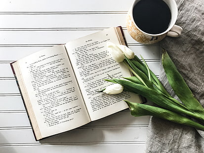 صفحة كتاب ، كتاب ، زهور الأقحوان ، قهوة، خلفية HD HD wallpaper