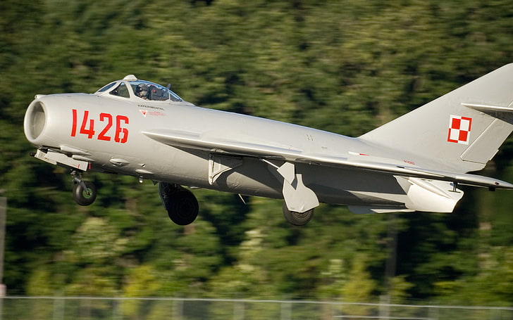 grey 1426 fighter plane, aircraft, military, airplane, war, Mikoyan, Mikoyan-Gurevich MiG-15, Polish Air Force, HD wallpaper