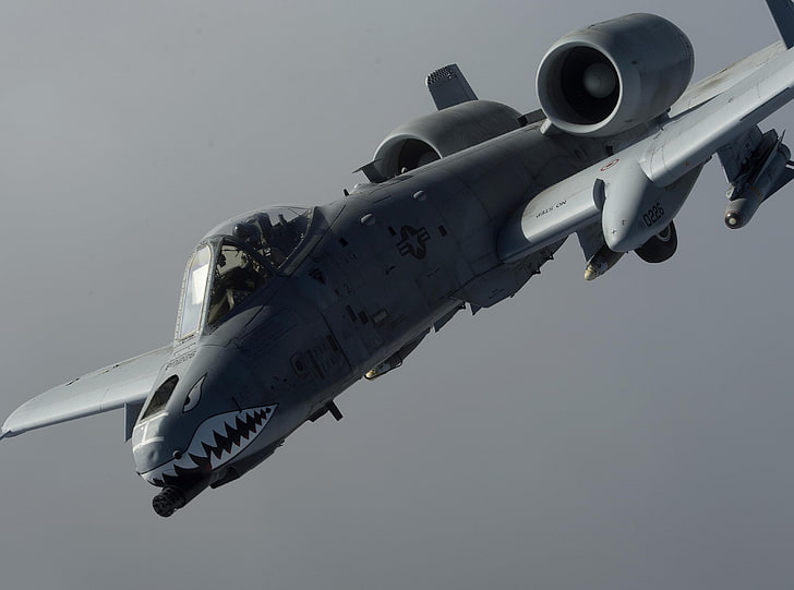 A-10 Thunderbolt II, gray and white shark fighter jet, Army, afghanistan, aerialrefueling, afcent, comcam, kc135, robertson, undisclosedlocation, HD wallpaper