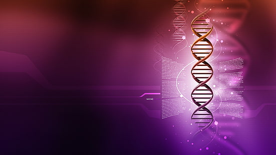ДНК, двойная спираль, гены, HD обои HD wallpaper