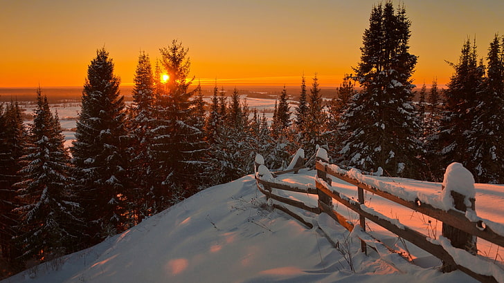fence, winter, sunset, snow, fir, tree, pine, orange sky, HD wallpaper