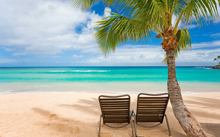 Kursi pantai tropis, pantai, alam, tropis, kursi, Wallpaper HD