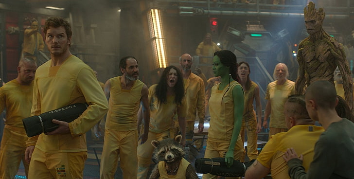 Movie, Guardians of the Galaxy, Chris Pratt, Gamora, Groot, Peter Quill, Rocket Raccoon, Zoe Saldana, HD wallpaper