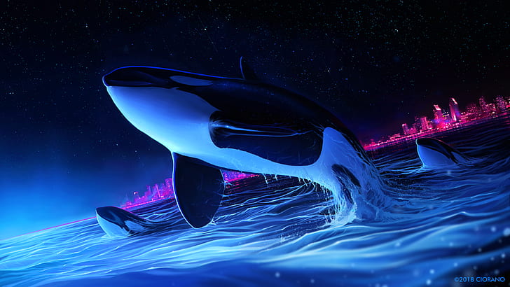 ファンタジー動物 クジラ 動物 夜 Hdデスクトップの壁紙