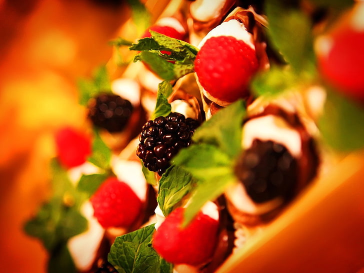 검은 딸기, 검은 딸기, 딸기, 디저트의 선택적 사진, HD 배경 화면