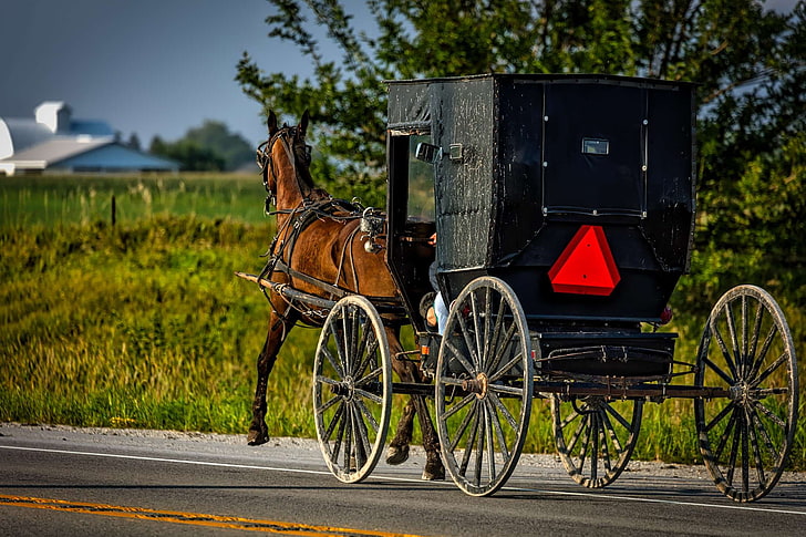 amish, buggy, carriage, country, farm, field, hdr, horse, iowa, nature, old fashioned, outdoors, rural, transportation, travel, vintage, HD wallpaper