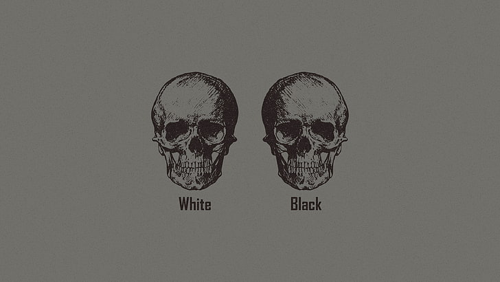 두개골, 인종 차별, 흑백, 미니멀리즘, 논리, HD 배경 화면