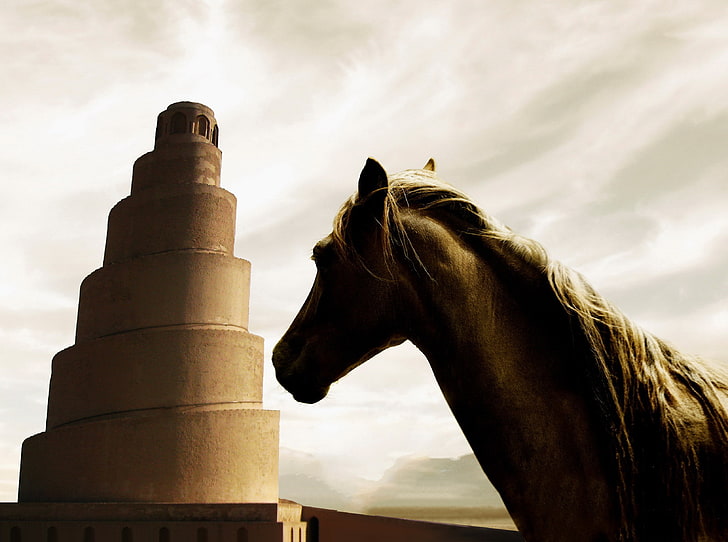 Árabe, cavalo, Iraque, Arquitetura islâmica, Samaraa, HD papel de parede