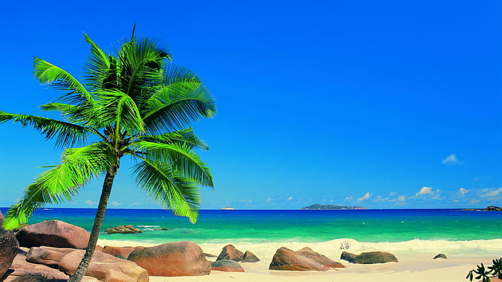 Пляж, пляжи, 2560x1440, небо, океан, пальмы, дерево, песок, вода, ультра HD, HD обои