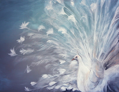 white peacock painting, bird, feathers, tail, peacock, painting, white peacock, HD wallpaper HD wallpaper