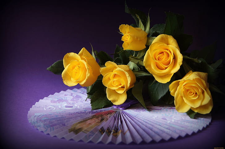 For you with love, image, yellow, roses, color, expression, HD wallpaper