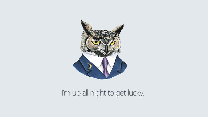 owl head wearing white shir and blue suit jacket, humor, drawing, owl, text, simple background, suits, Daft Punk, lyrics, artwork, digital art, white background, simple, HD wallpaper
