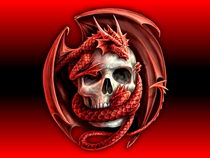 graue menschliche Schädelverpackung durch digitale Tapete des roten Drachen, Dunkelheit, Schädel, Tod, Drache, HD-Hintergrundbild
