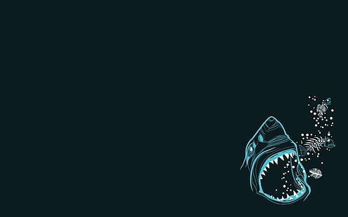 tiburón de alta definición, Fondo de pantalla HD HD wallpaper