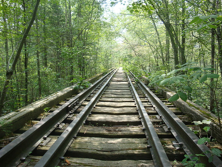 الطبيعة والمسار ومسار السكة الحديد والغابات، خلفية HD