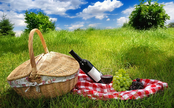 Picnic, wine, grapes, grass, summer, HD wallpaper