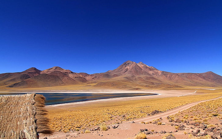 природа, пейзаж, пустинята Атакама, Чили, езеро, хижа, черен път, планини, храсти, синьо, HD тапет