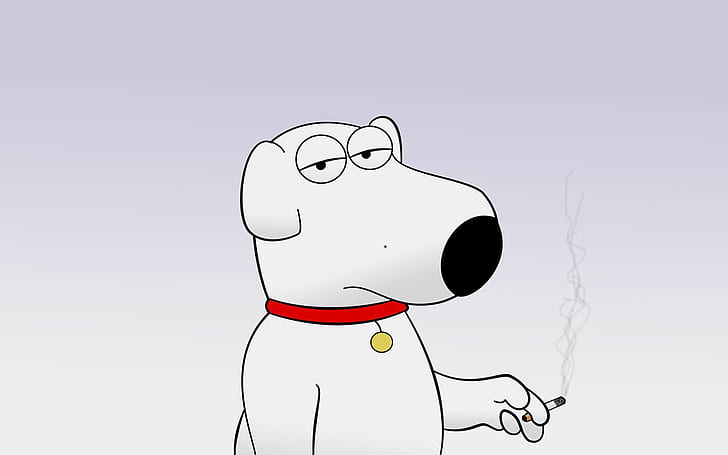 Family Guy Brian, serial komediowy, animowany, zabawny, pies, Tapety HD
