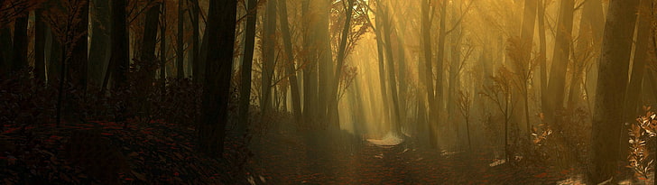 silhouette of forest, multiple display, forest, path, leaves, HD wallpaper
