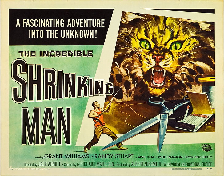 The Walking Dead comic book, The Incredible Shrinking Man, Film posters, B movies, psychotronics, HD wallpaper