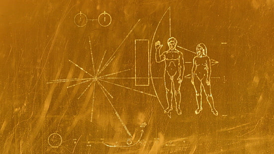 Voyager, Voyager Golden Record, konstverk, guld, män, kvinnor, NASA, rymden, HD tapet HD wallpaper