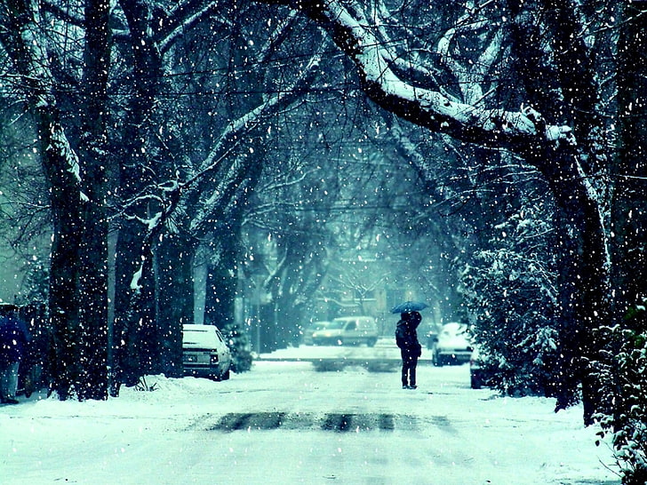 Парень Снег Фото
